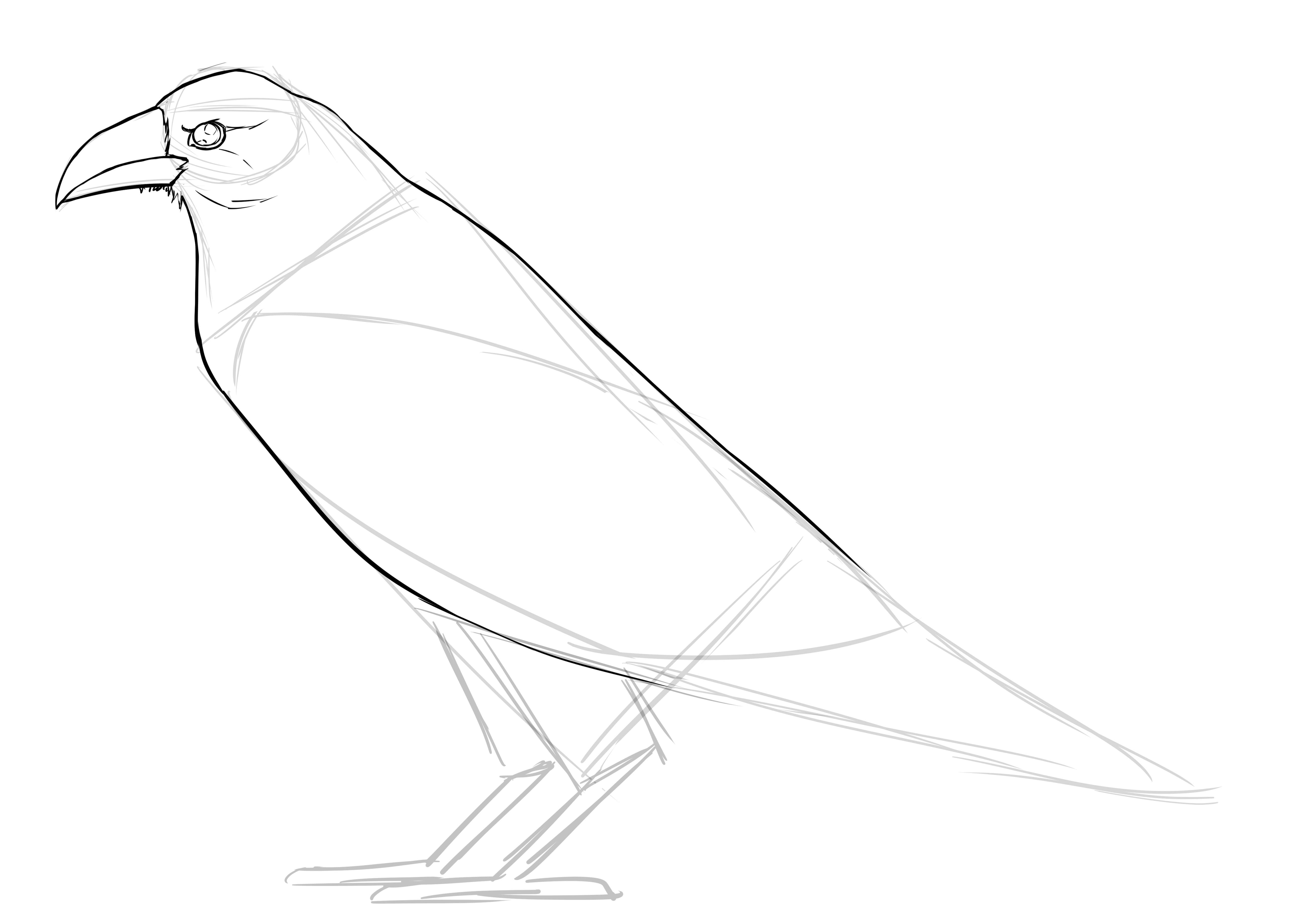 Comment dessiner un corbeau facilement