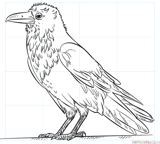 Comment dessiner un corbeau étape par étape