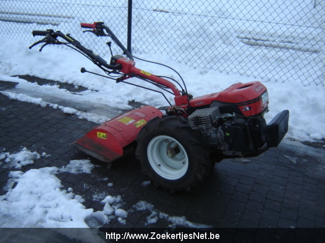 Motoculteur goldoni bingo