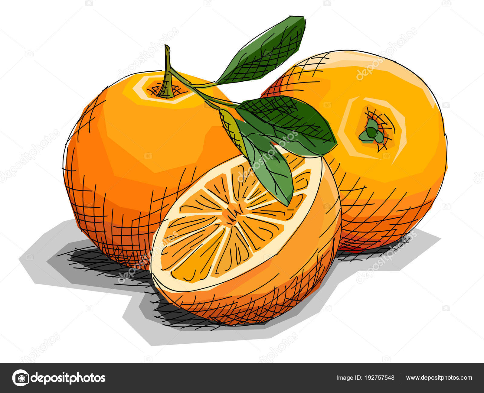 Orange fruit dessin