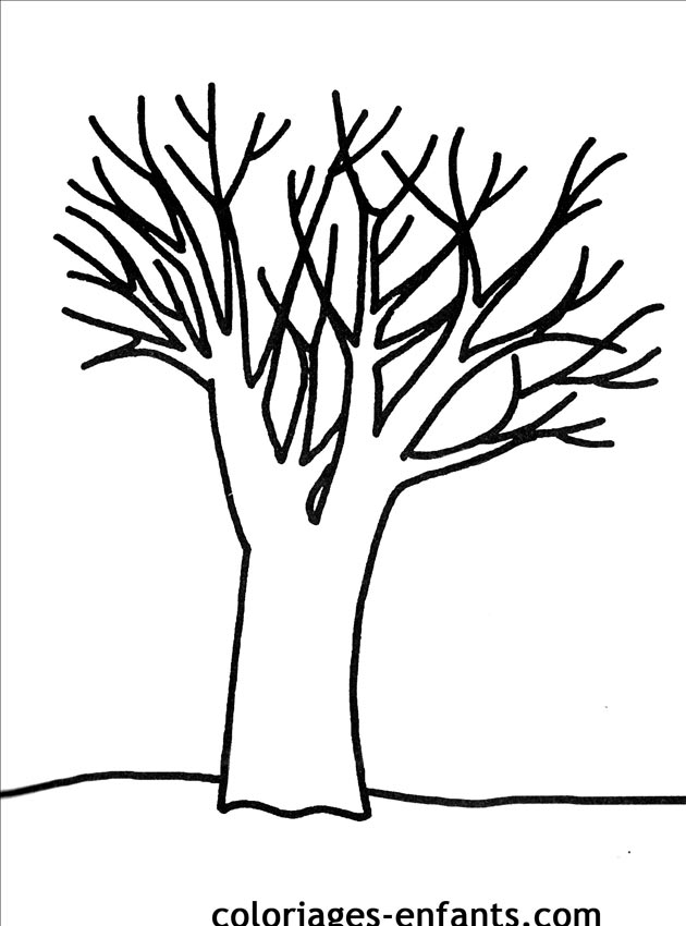 Dessin arbre hiver