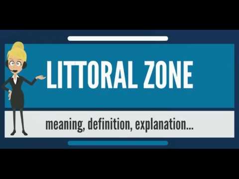 Espace litteral definition
