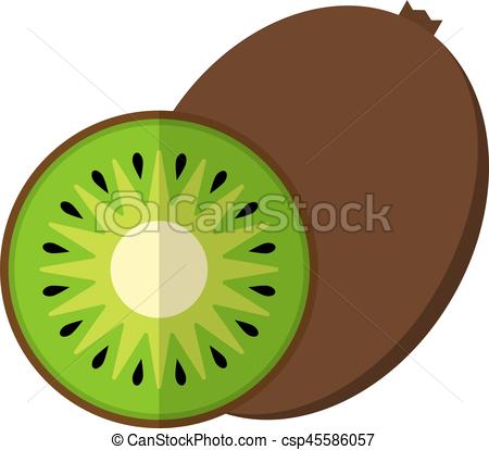 Dessin kiwi fruit