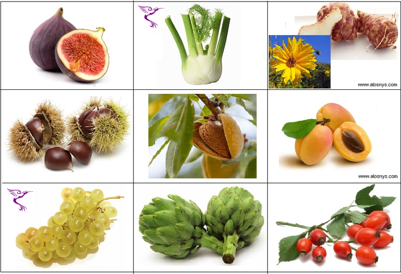 Image de fruits et legumes a imprimer