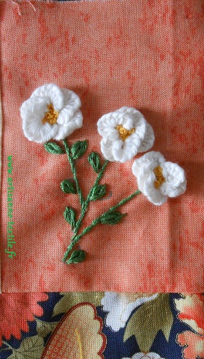 Points de broderie brésilienne