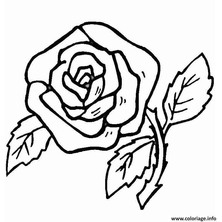 Dessin facile rose