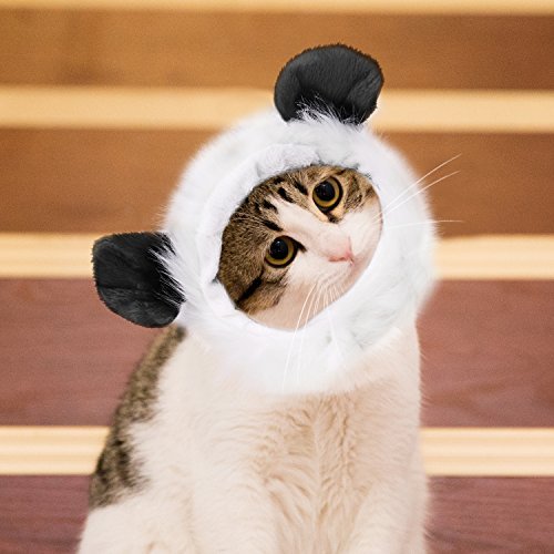Costume panda pour chat