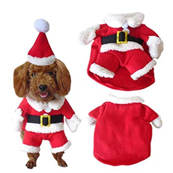 Vetement pere noel pour chien