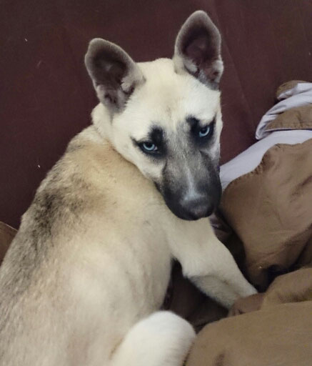 Comment fabriquer une fausse cheminée