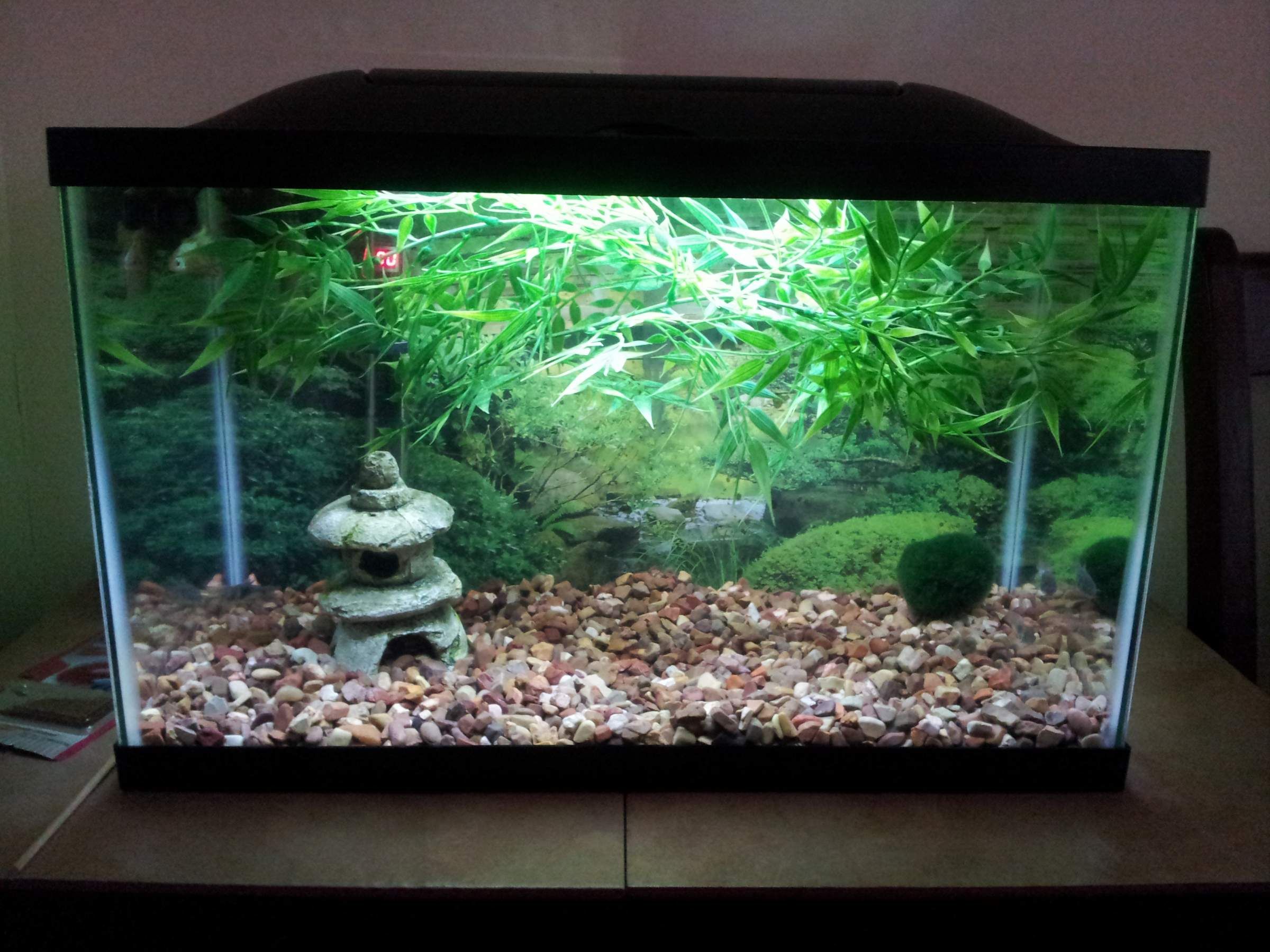 Idee deco aquarium zen