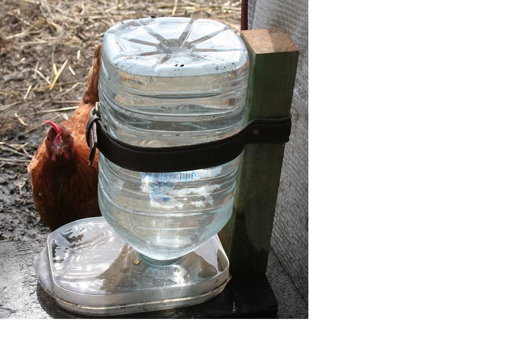 Abreuvoir poule automatique bricolage