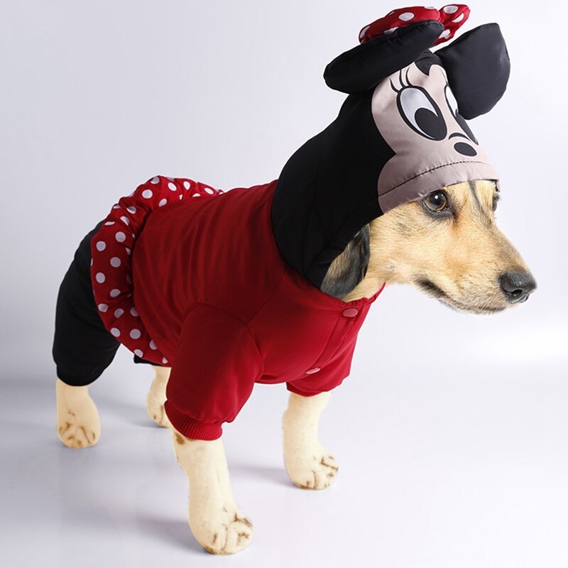 Costume mickey pour chien