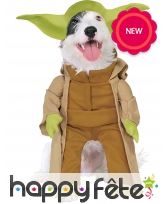 Deguisement mickey pour chien