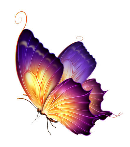 Dessin papillon coloré