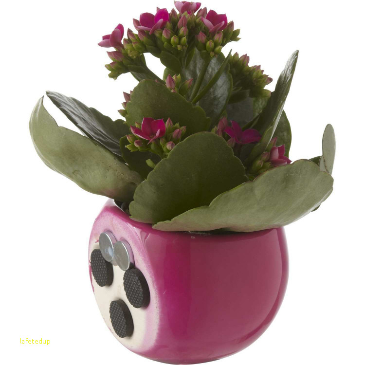 Cachepot leroy merlin