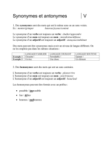 Saut en tandem definition