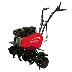 Texte d'une marraine a sa filleule