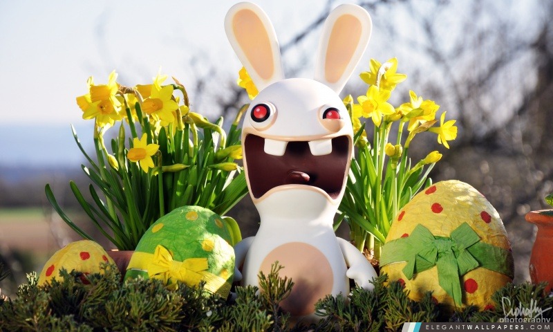 Fond ecran lapin de paques