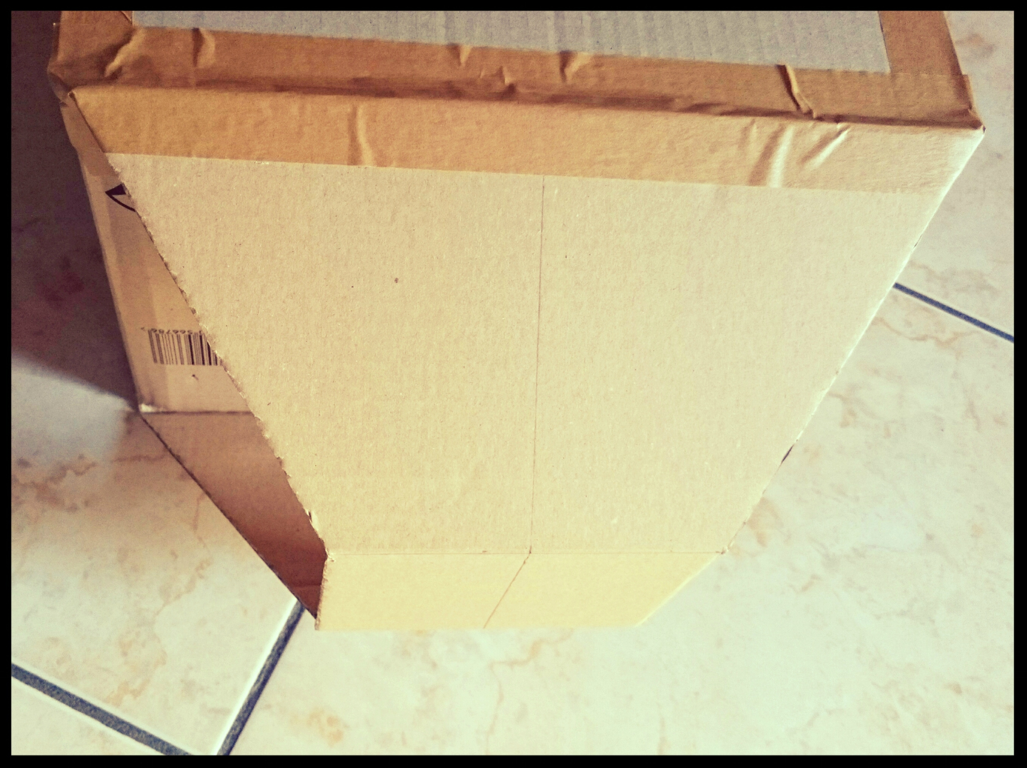 Deguisement avion en carton