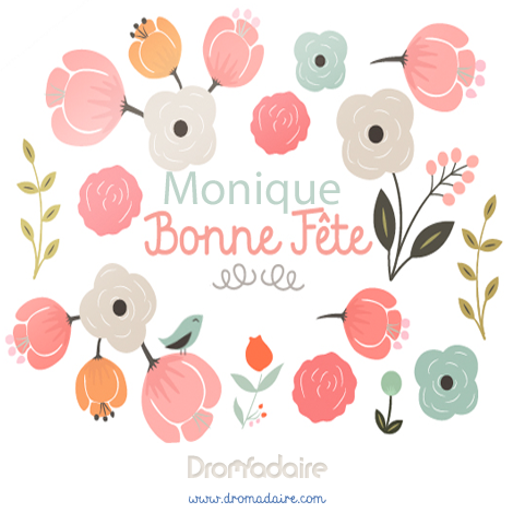 Dromadaire carte virtuelle fete des meres