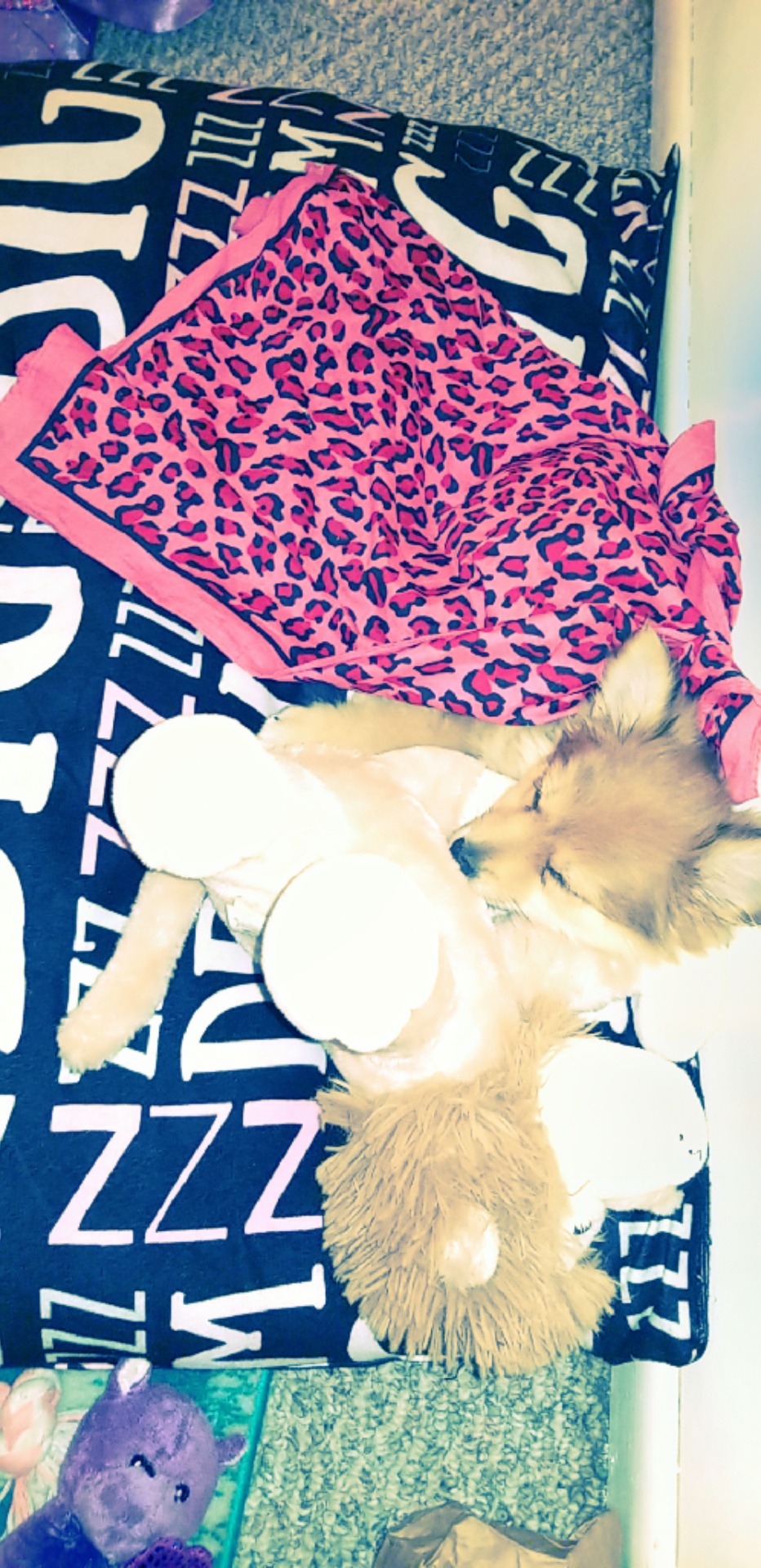 Différence motobineuse et motoculteur