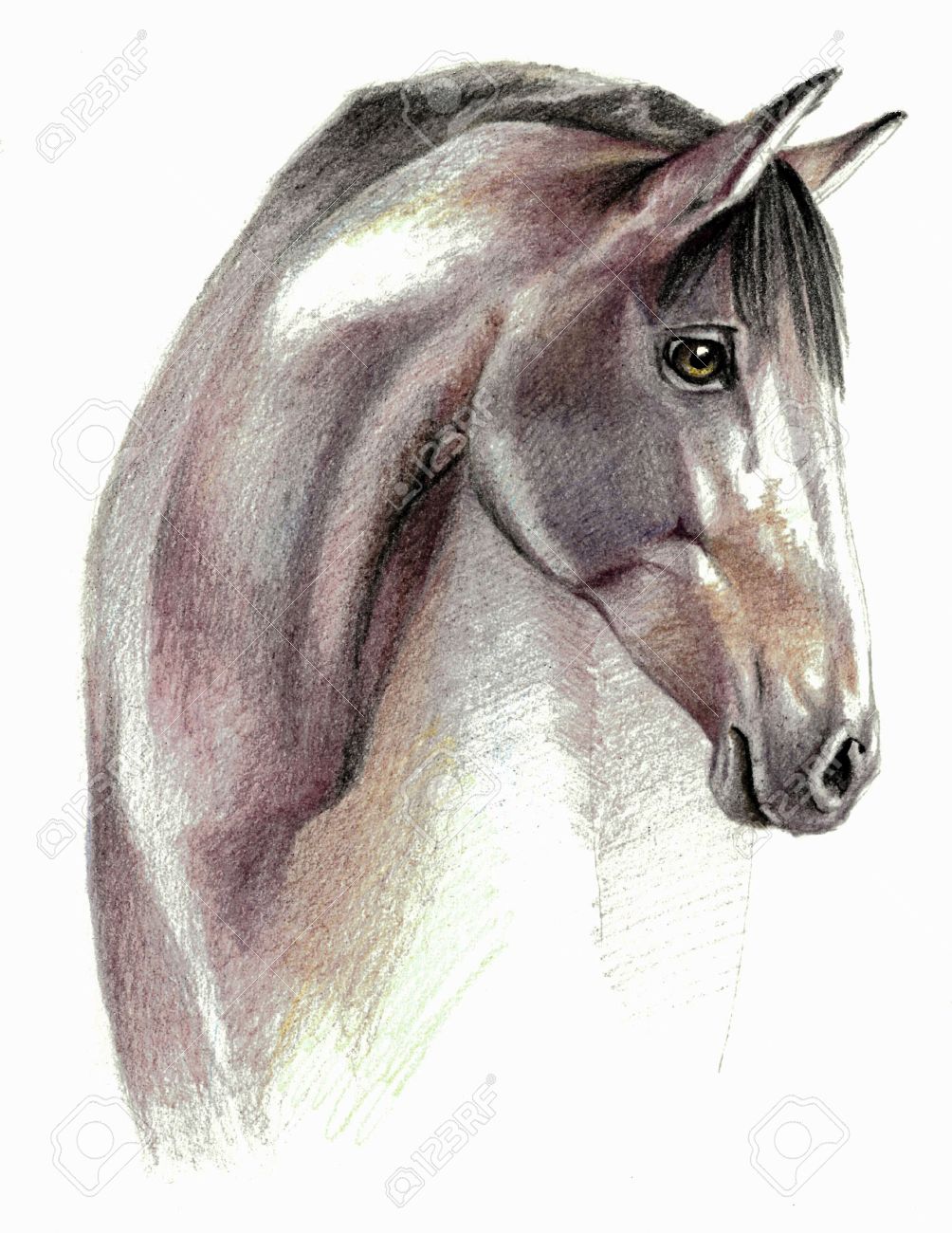 Dessin de cheval en couleur