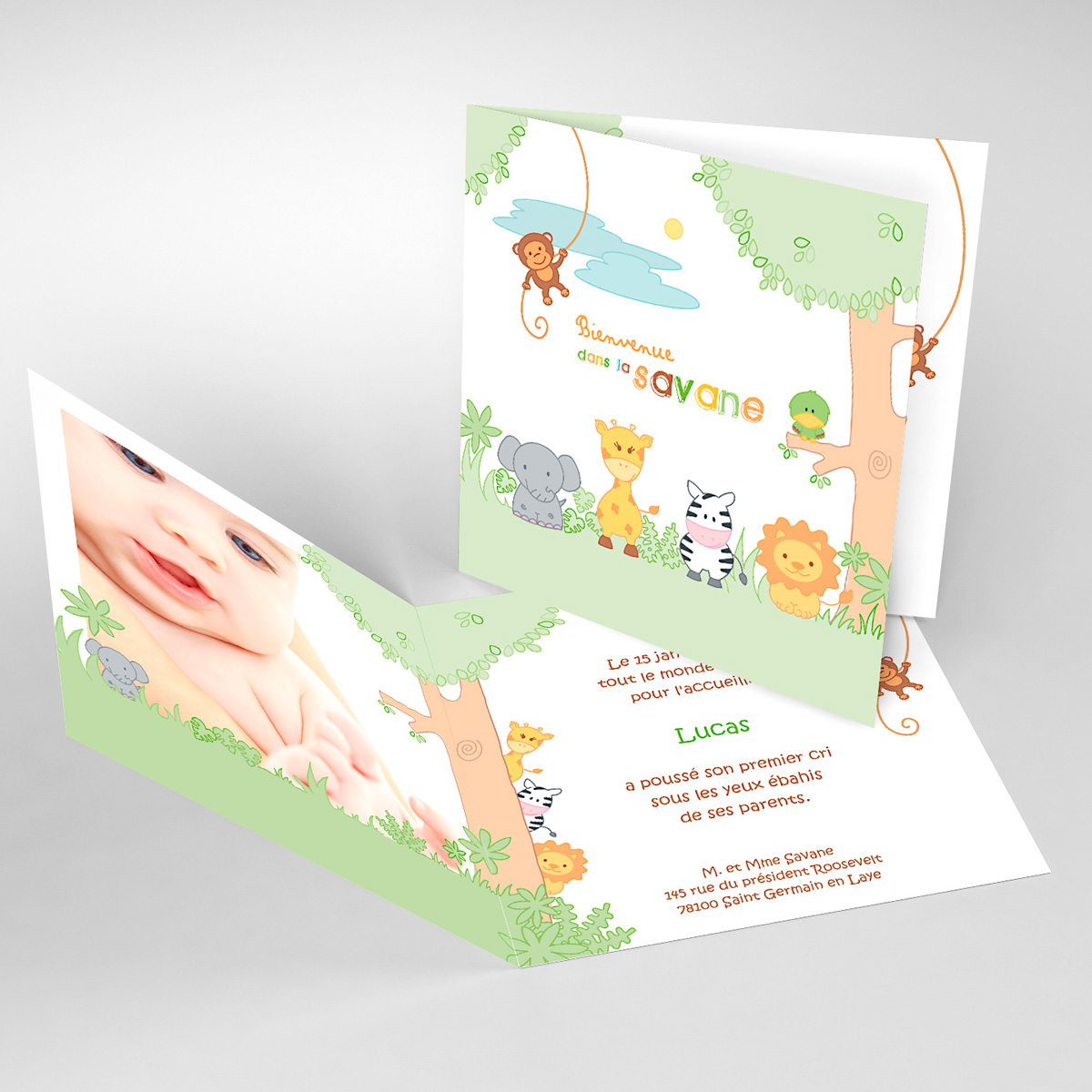 Faire part savane