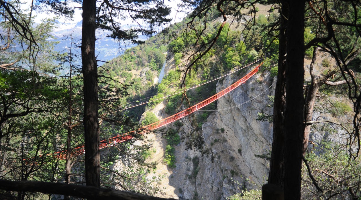 Saut elastique suisse