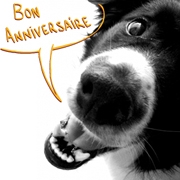 Carte internaute bonne fête