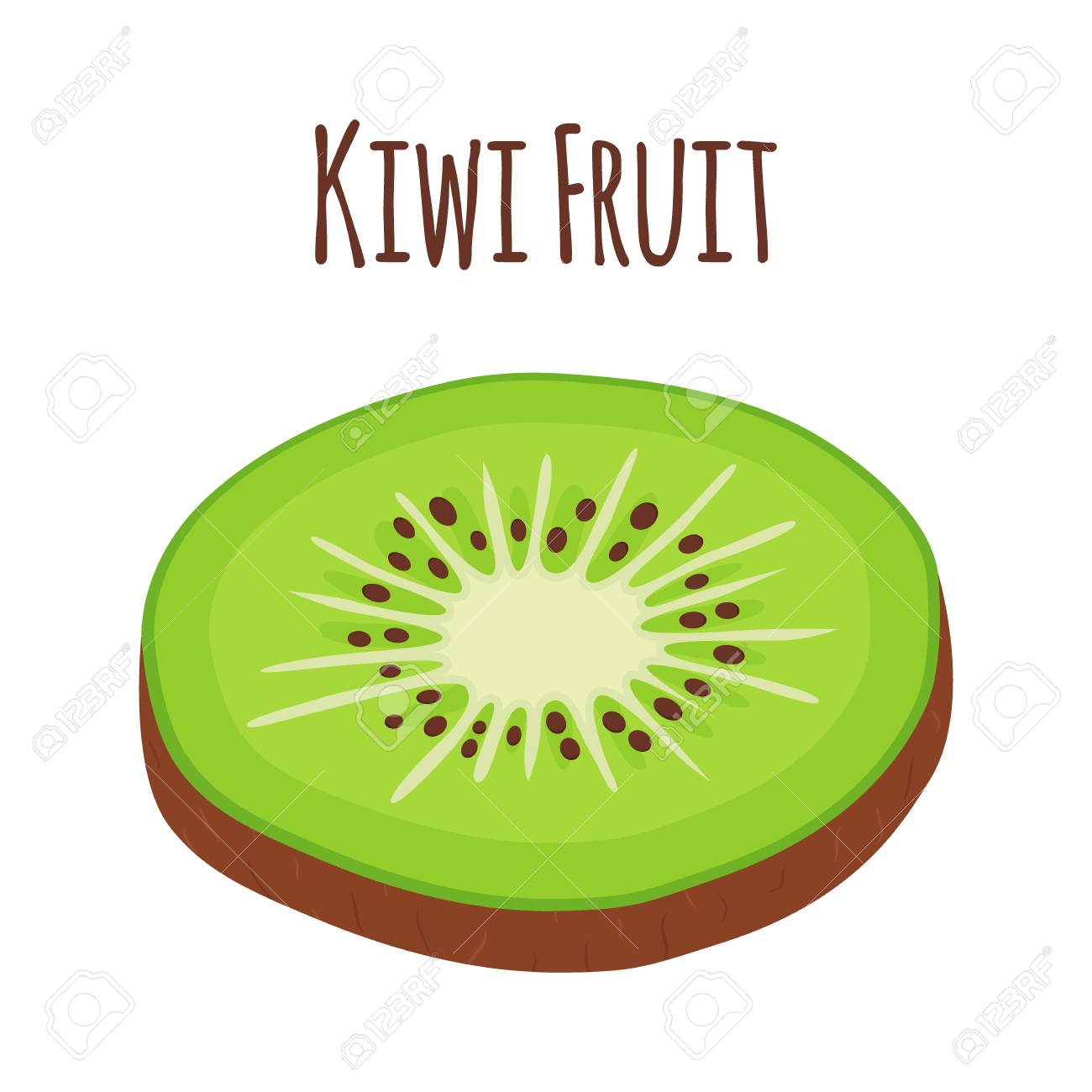 Dessin kiwi fruit