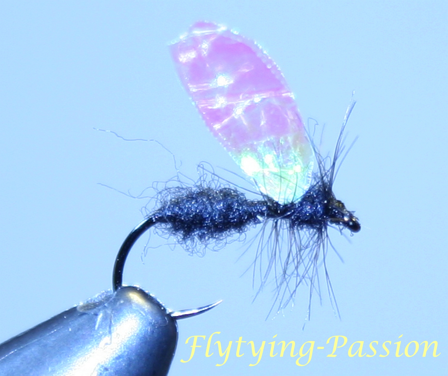 Montage mouche fourmis ailée