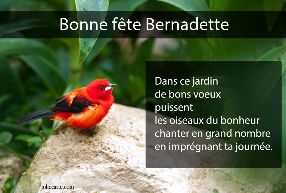 Carte bonne fête bernadette
