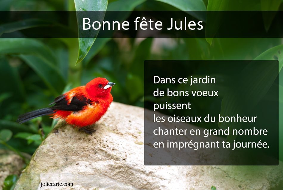 Carte bonne fete jules