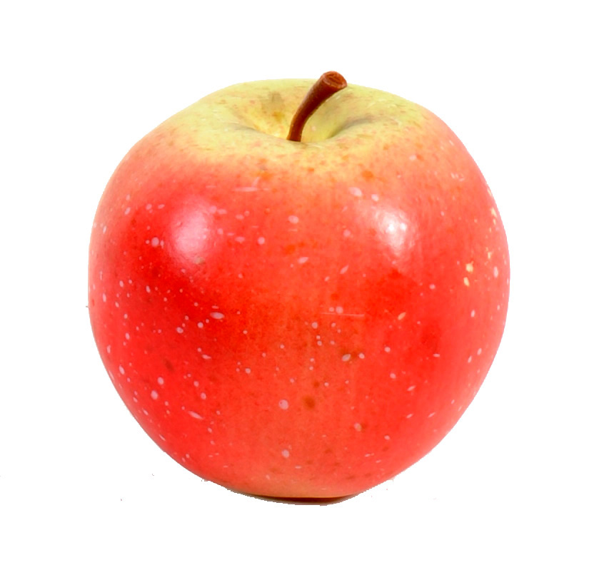 Dessin de pomme a imprimer