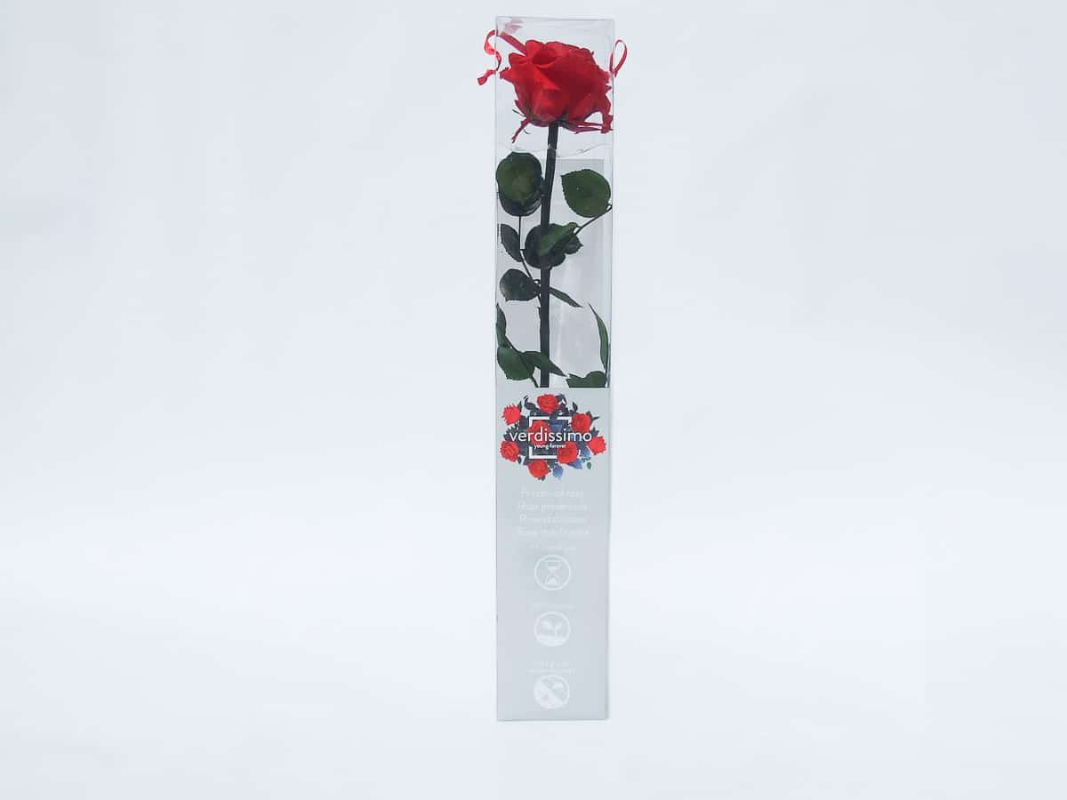 Verdissimo rose eternelle