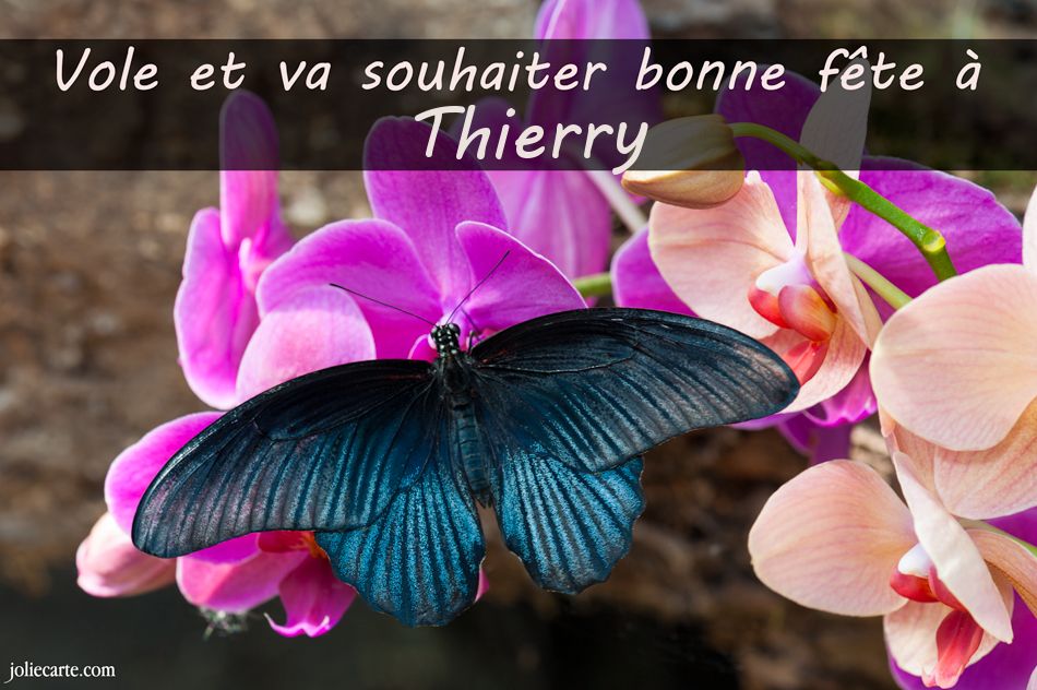 Carte bonne fête thierry