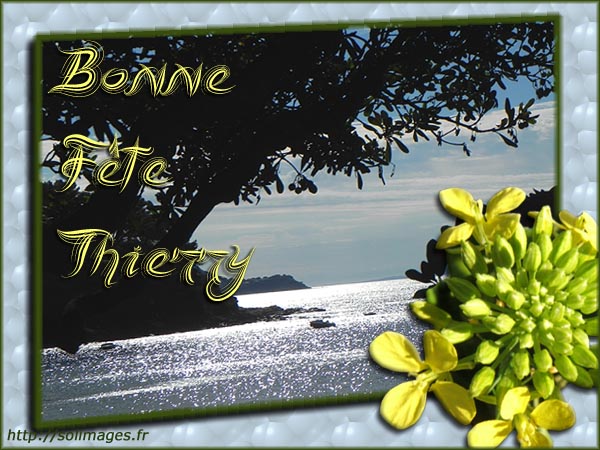 Carte bonne fete michel