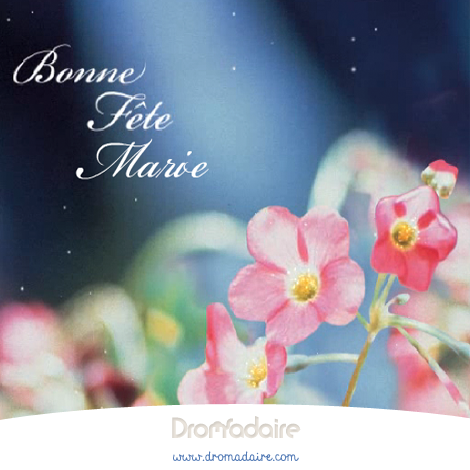 Dromacarte bonne fete maman