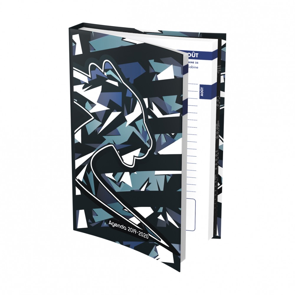 Coloriage de airness