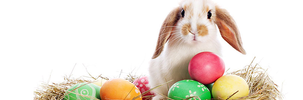 Blague lapin de pâques