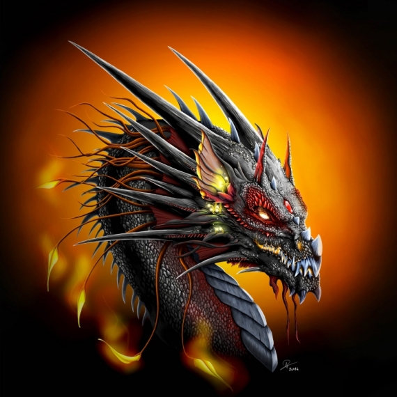 Image dragon de feu