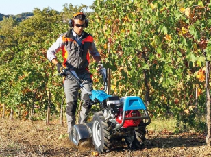 Bertolini motoculteur