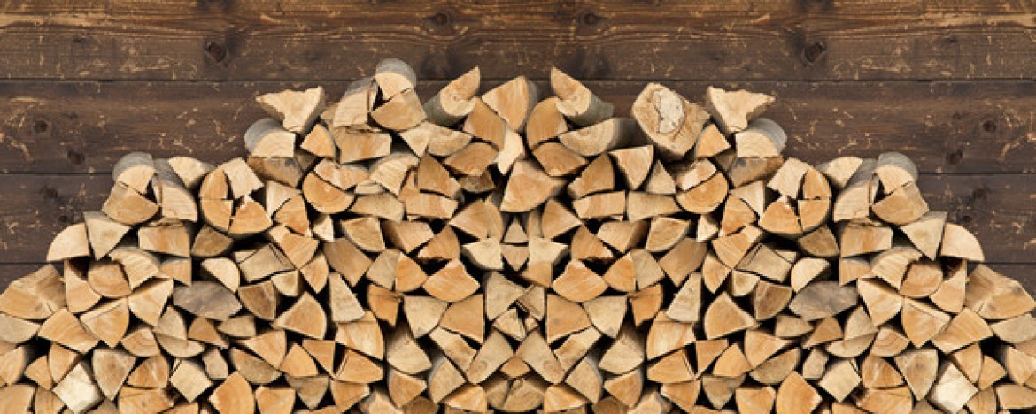 Bois de chauffage abricotier