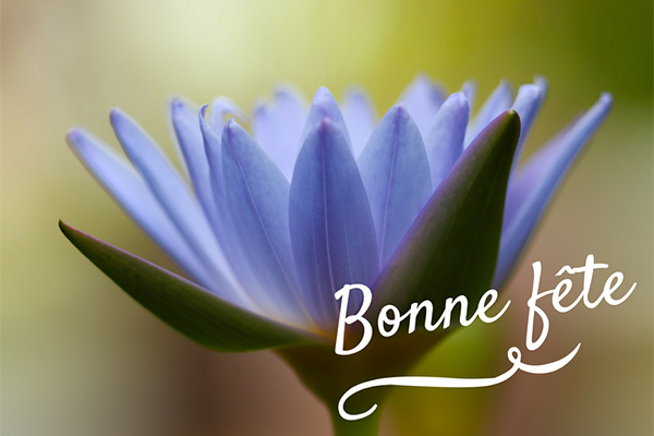 Dromacarte bonne fete