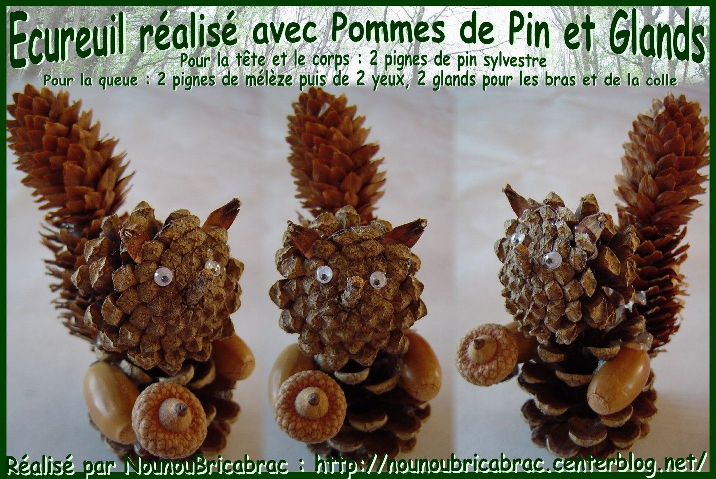 Bricolage pomme de pin maternelle