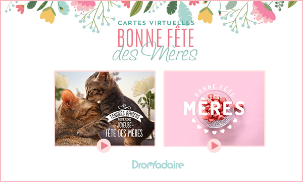 Bonne fête martine dromadaire