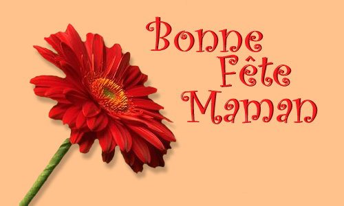 Cybercarte bonne fete maman