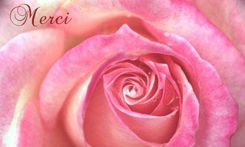 Carte cybercarte merci gratuite