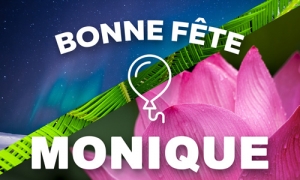 Carte virtuelle bonne fete monique