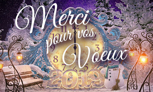 Cartes cybercartes merci